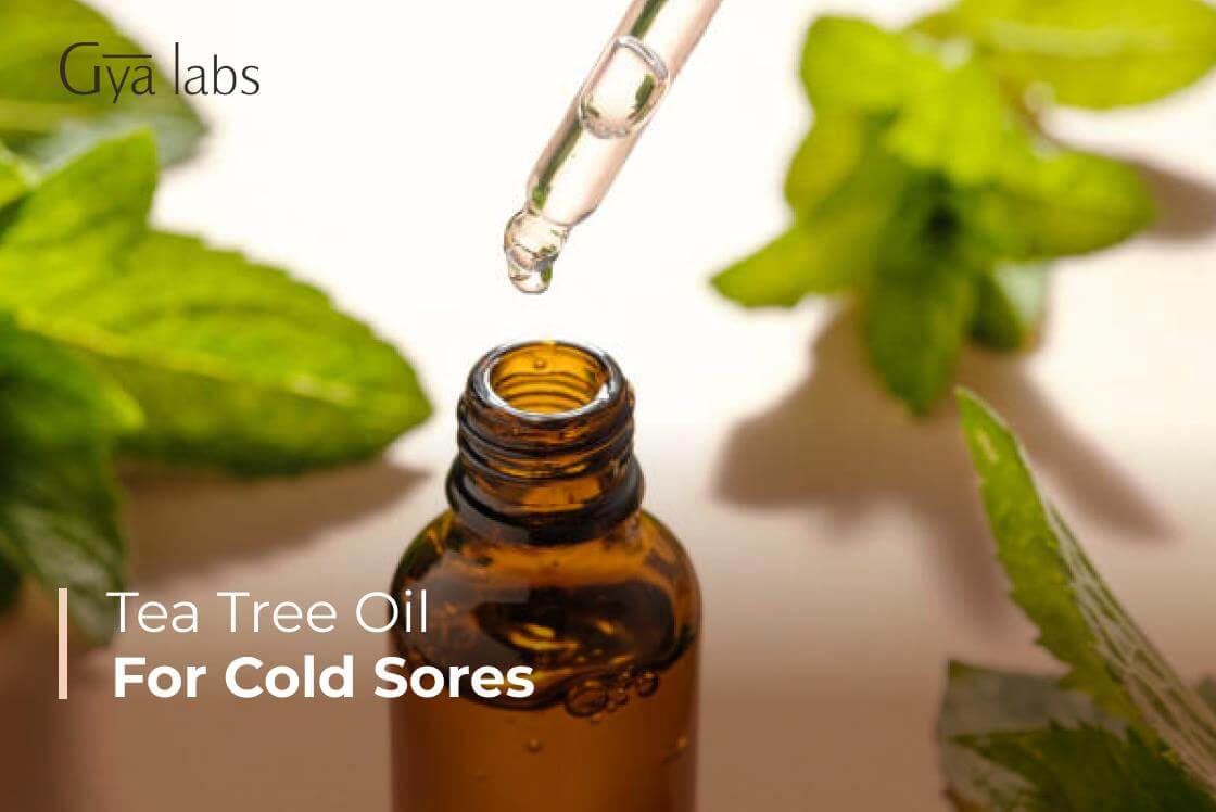 Tea tree oil for cold sores