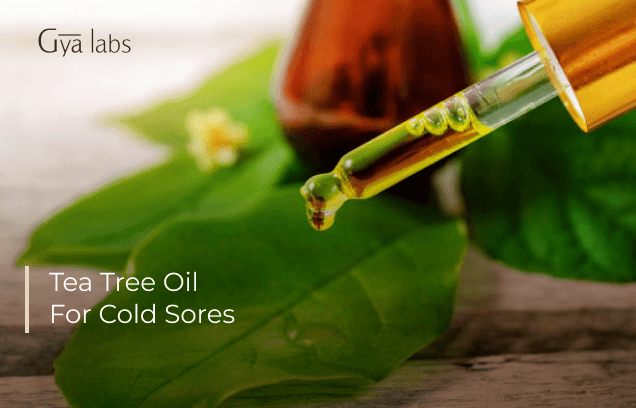 Tea tree oil for cold sores