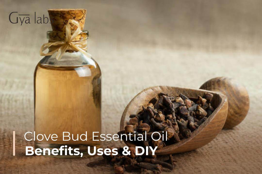 benefits & uses of clove bud essential oil