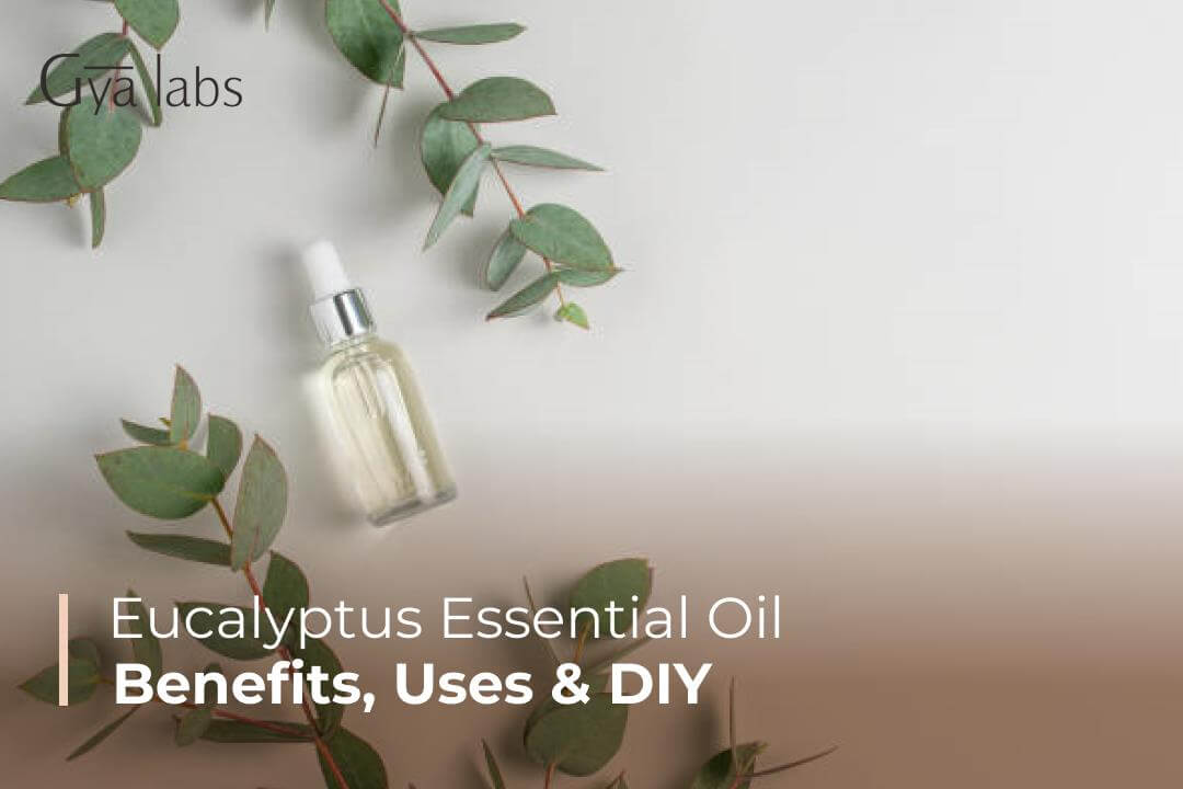 Benefits & Uses of Eucalyptus Essential Oil