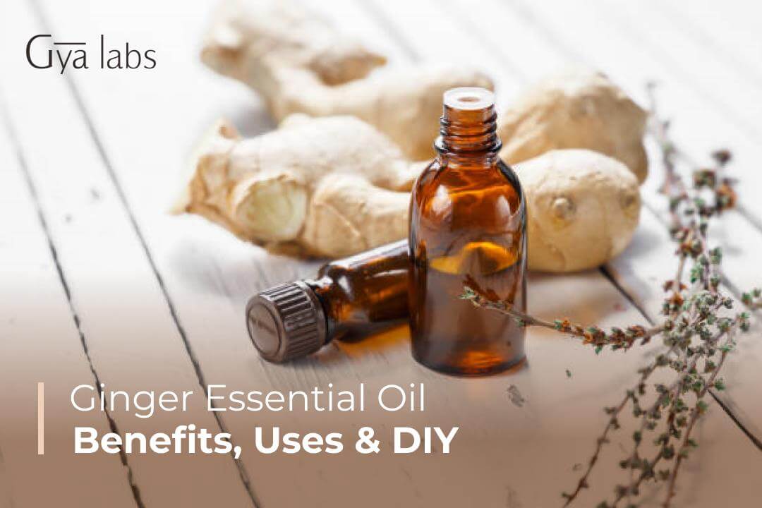 benefits & uses of ginger essential oil
