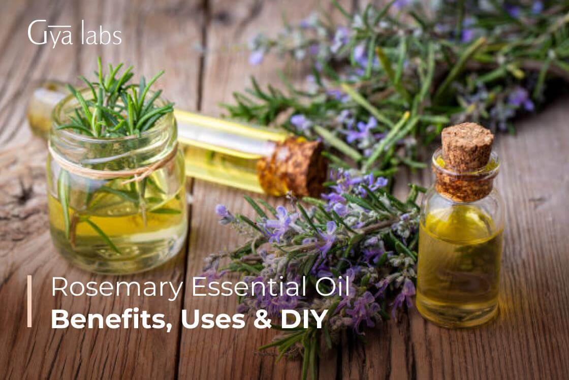 Benefits & Uses of Rosemary Oil