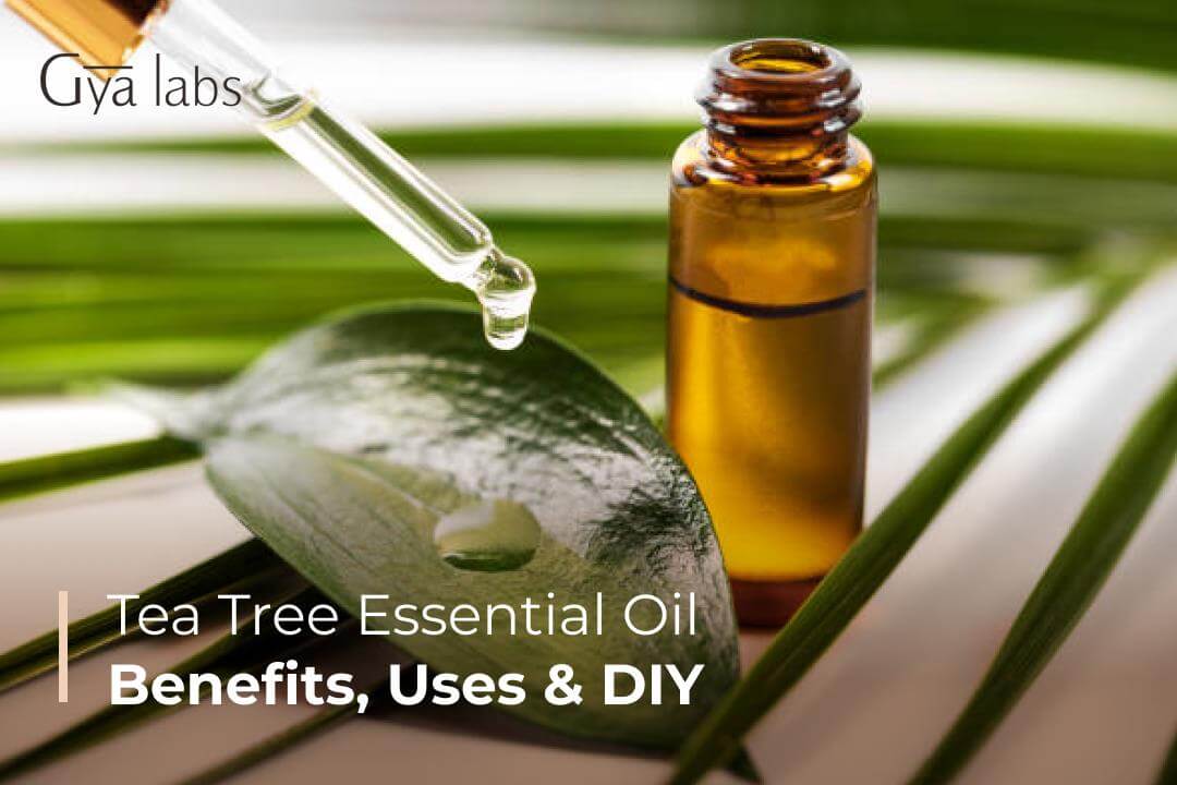 Benefits & Uses of Tea Tree Oil