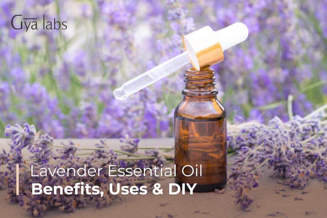 Benefits & Uses of Lavender Essential Oil