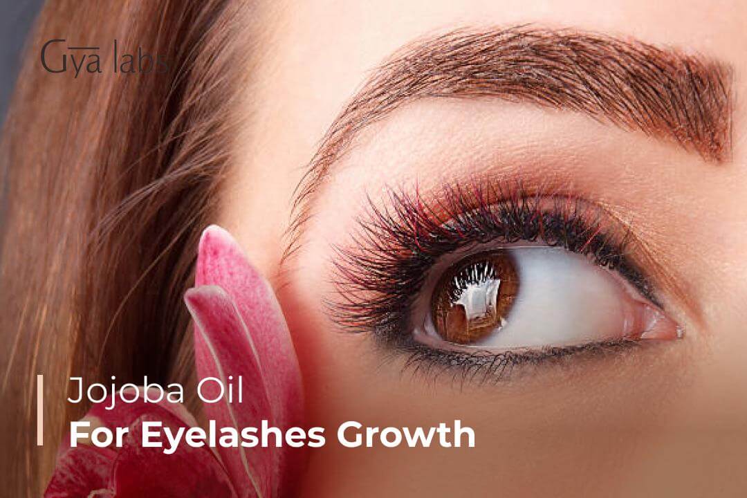 jojoba oil for eyelashes