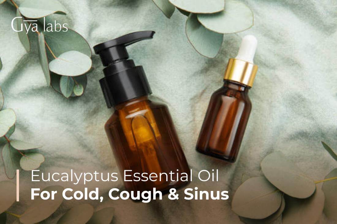 Eucalyptus Essential Oil for Cold, Cough & Sinus