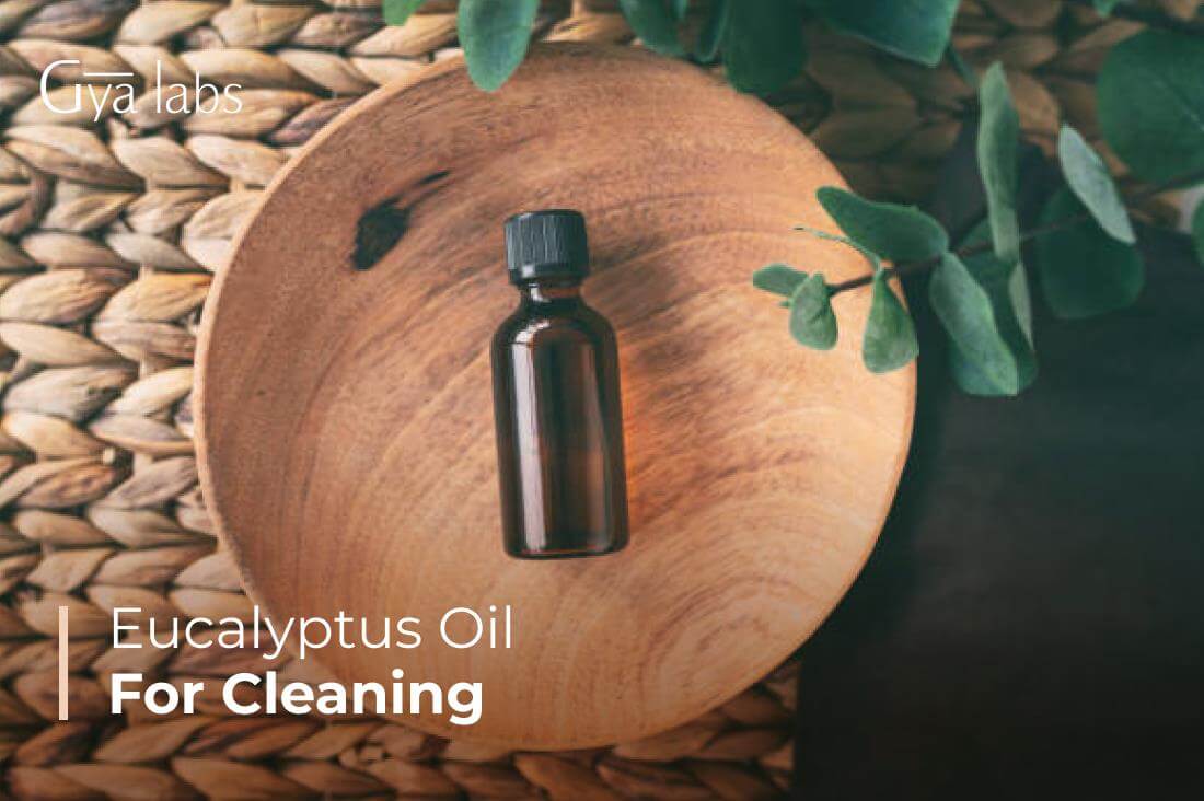 Eucalyptus Oil for cleaning