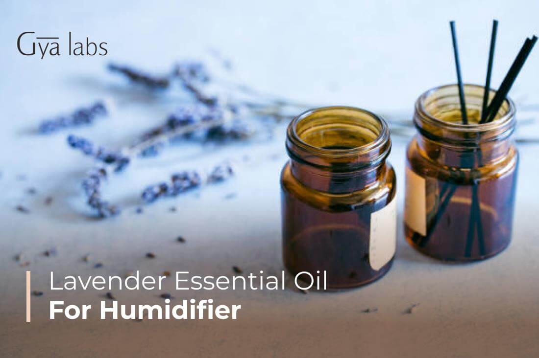 lavender essential oil for humidifier